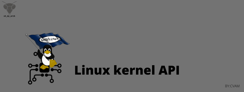 linux kernel API